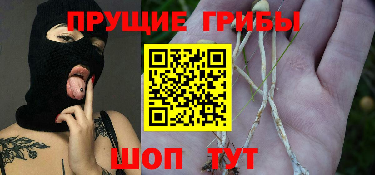 Псилоцибиновые грибы GOLDEN TEACHER  Псилоцибиновые грибы прущие грибы  Вход с VPN  что такое   Туймазы 