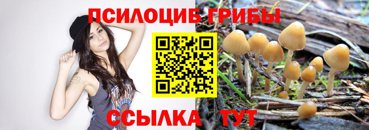 Псилоцибиновые грибы ЛСД Туймазы